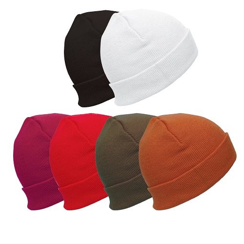 BEANIES-01 500
